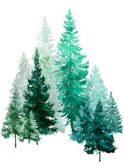 Obraz premium Teal and Green Watercolor Evergreen Trees on Transparent Background, PNG