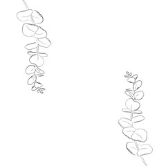 鉛筆で描いたユーカリ,白黒,正方形