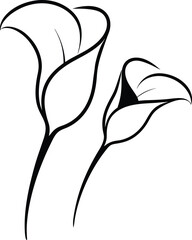 vector illustration of a lily