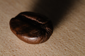 Macro shot of a single dark coffee bean casting a shadow on a textured background.