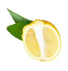 Front view of ripe yellow lemon fruit in slice and ellipse or oval half with two green leaves...