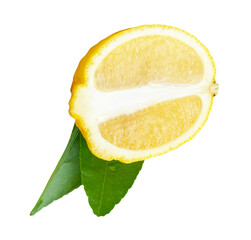 Front view of ripe yellow lemon fruit in slice and ellipse or oval half with two green leaves...