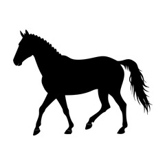 Fototapeta premium Horse Riding Cartoon Illustration for Kids, Cute Equestrian Clipart, Saddle Pony Drawing, Riding School Art, Animal Training Design