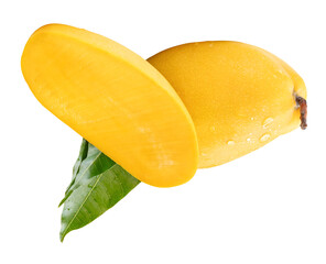 Single ripe yellow mango and half with green leaves and water droplets in cross shape isolated  with clipping path in png file format