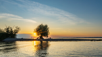 A single willow stands on the bank of Lake Constance, tree is reflected in the waves on the lake,...