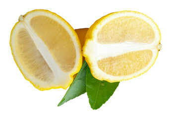 Front view of ripe yellow lemon fruit with two halves in oval or ellipses in heap isolated with...