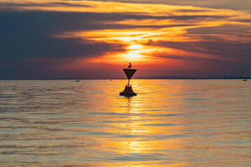 loneliness, seagull sits alone on a buoy in Lake Constance, lonely bird on a warning sign above the...
