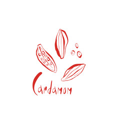 Hand drawn cardamom illustration set with whole pods seeds and lettering in red color for spice branding and kitchen decor