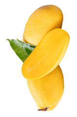Two ripe yellow mango fruits and mango half with green leaves and water droplets in stack isolated in png file format