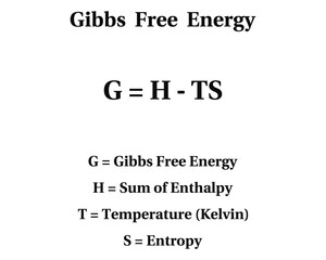 Gibbs Free Energy on the white background. Education. Science. School. Vector illustration.