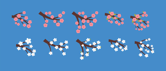 A collection of cherry blossom illustrations with cute stems, perfect for corner frames