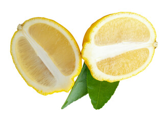 Front view of ripe yellow lemon fruit in two halves in oval or ellipses in heap isolated on white...