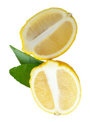 Front view of ripe yellow lemon fruit in two halves in oval or ellipses in heap isolated on white...