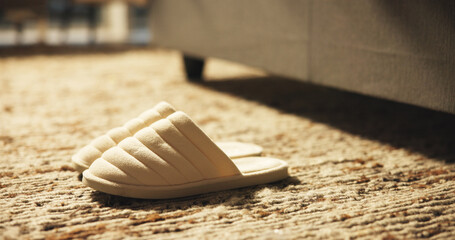 Plush slippers, home and bedroom floor for fashion, morning and comfortable footwear on rug. House,...