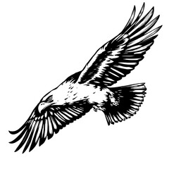 black and white eagle perched on branch illustration with black background