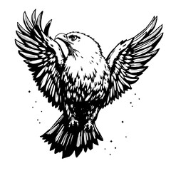 black and white eagle illustration with spread wings