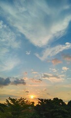 Golden Hour Sky: Wispy Clouds Above Verdant Trees, Warm Sunset Glow.