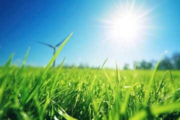 Vibrant green grass in foreground, sunburst, blue sky, and distant wind turbine