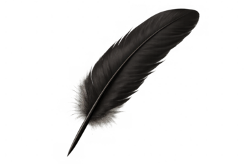 Detailed black feather quill pen isolated on transparent background, ideal for writing or drawing projects