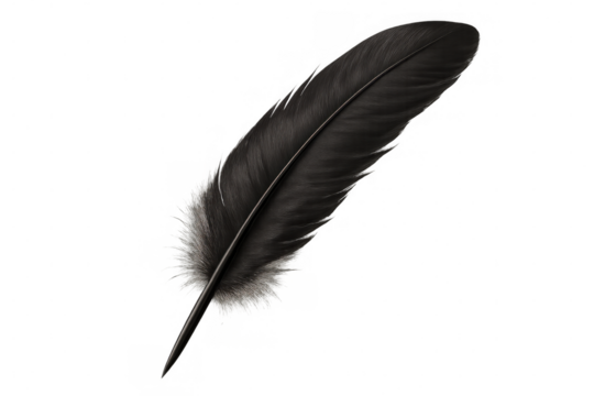 Detailed black feather quill pen isolated on transparent background, ideal for writing or drawing projects