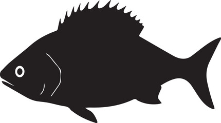 silhouette fish seabass on white background, vector illustration