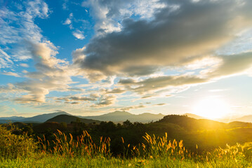 Sunbeam shining through tree sunny ray lens flare beautiful sunlight amazing landscape beauty in...