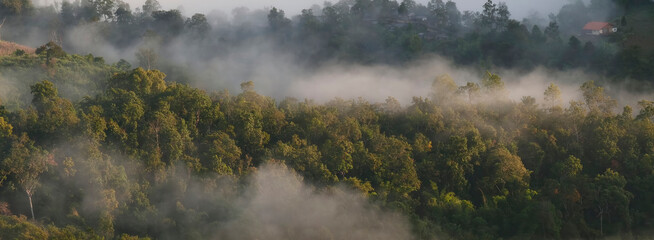 Banner Beautiful Mountain landscape foggy mountain green landscape morning sunrise. Amazing...