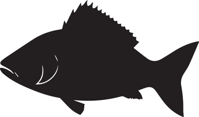 silhouette fish seabass on white background, vector illustration