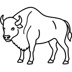 Rustic Bison Sketch Vector Art