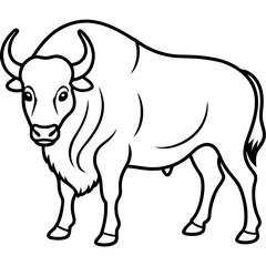 Rustic Bison Sketch Vector Art