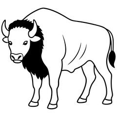 Rustic Bison Sketch Vector Art