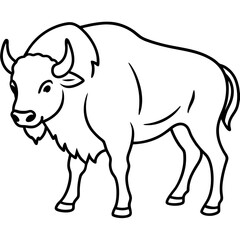 Rustic Bison Sketch Vector Art