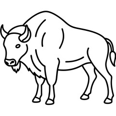 Rustic Bison Sketch Vector Art