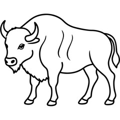 Rustic Bison Sketch Vector Art
