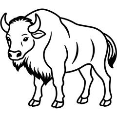 Rustic Bison Sketch Vector Art