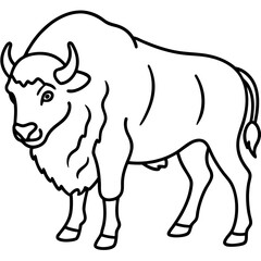 Rustic Bison Sketch Vector Art