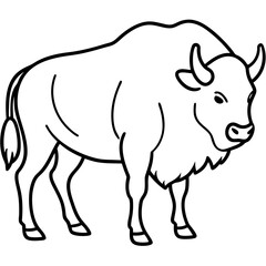 Rustic Bison Sketch Vector Art