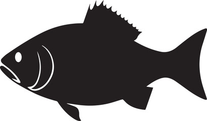 silhouette fish seabass on white background, vector illustration
