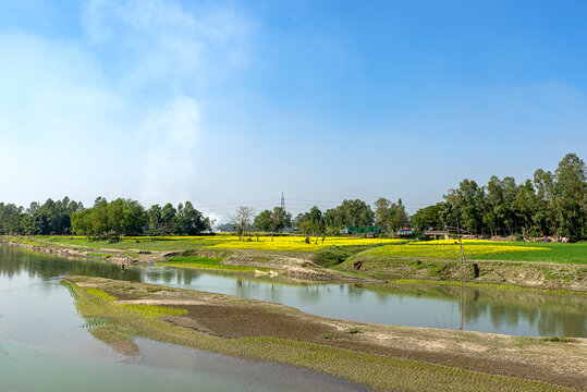 Жыныстық папайя қалыңдық Шынайы өмірде өте сексуалды қыздар