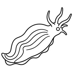 Sea Slug Outline Design