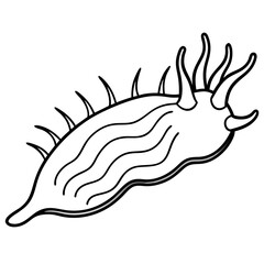 Sea Slug Outline Design
