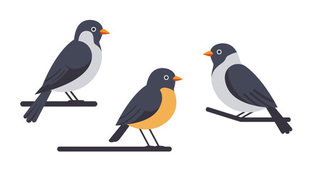 Whimsical Cartoon Birds – Colorful Stylized Avian Illustrations for Children’s Decor and Educational Projects