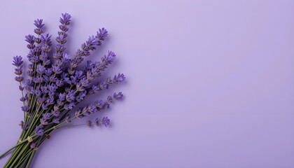 Lavender Flower Bouquet on Purple Background with Copy Space for Elegant Summer Designs