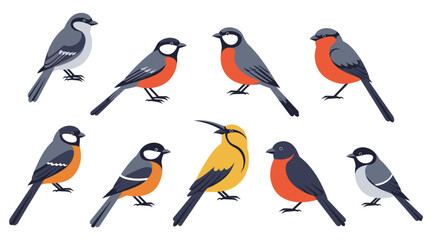 Obraz premium Whimsical Cartoon Birds – Colorful Stylized Avian Illustrations for Children’s Decor and Educational Projects