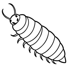 Silkworm Sketch in White