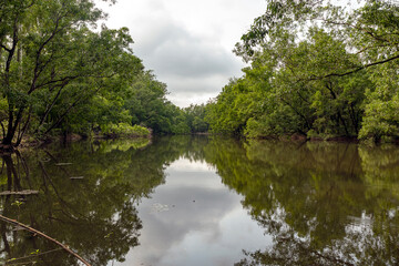 Calm River with Reflections of Trees Under Cloudy Sky