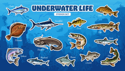 Naklejka premium Sketch sea fish stickers, fishing sport and seafood. Vintage hand drawn salmon, tuna, mackerel, flatfish or flounder ocean water animals. Carp, bream, pike and perch river fish stickers pack