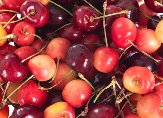 cherries in studio
