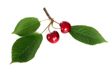 cherries in studio
