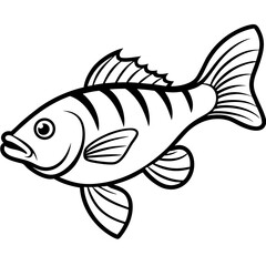 Simple Zander Fish Contour Illustration